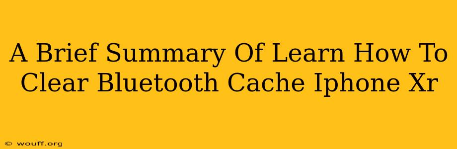 A Brief Summary Of Learn How To Clear Bluetooth Cache Iphone Xr