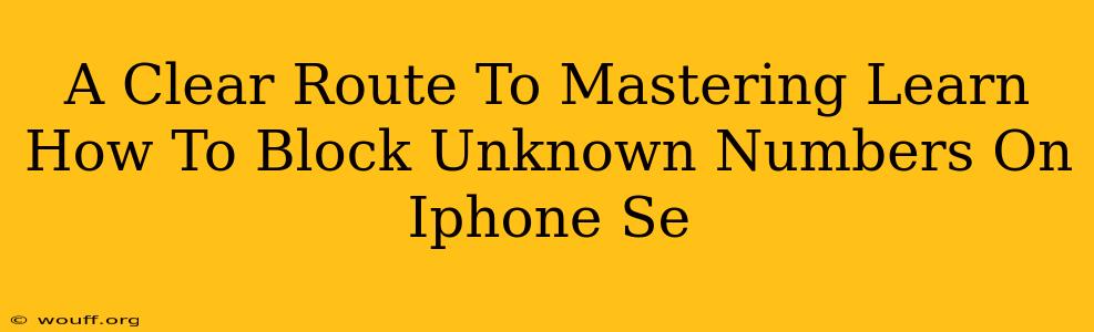 A Clear Route To Mastering Learn How To Block Unknown Numbers On Iphone Se