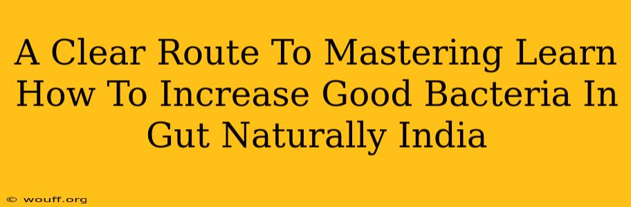 A Clear Route To Mastering Learn How To Increase Good Bacteria In Gut Naturally India