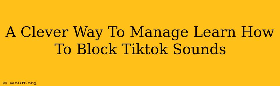 A Clever Way To Manage Learn How To Block Tiktok Sounds