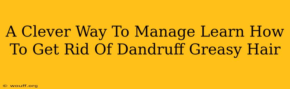 A Clever Way To Manage Learn How To Get Rid Of Dandruff Greasy Hair