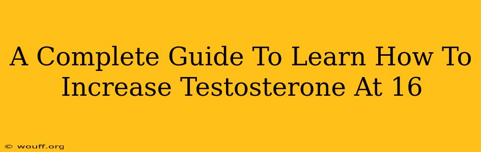 A Complete Guide To Learn How To Increase Testosterone At 16