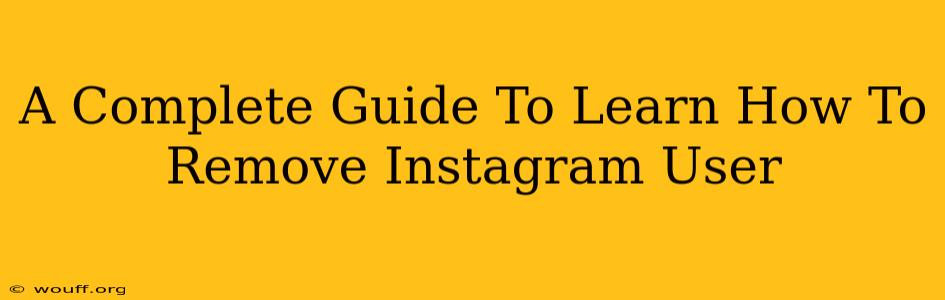 A Complete Guide To Learn How To Remove Instagram User