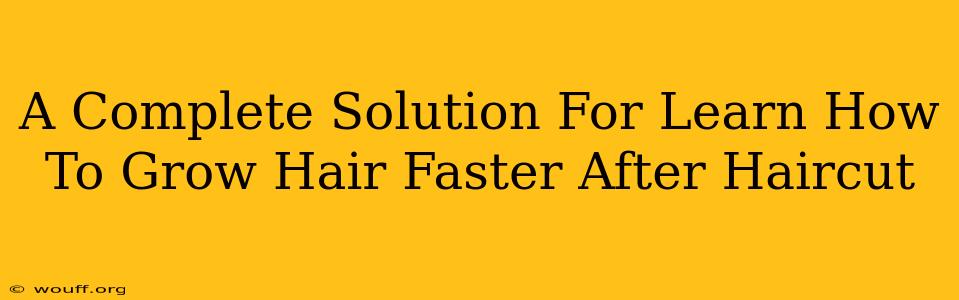 A Complete Solution For Learn How To Grow Hair Faster After Haircut