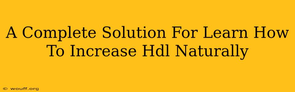 A Complete Solution For Learn How To Increase Hdl Naturally