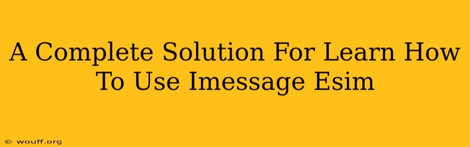 A Complete Solution For Learn How To Use Imessage Esim