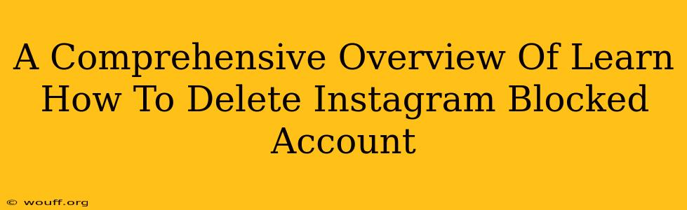 A Comprehensive Overview Of Learn How To Delete Instagram Blocked Account