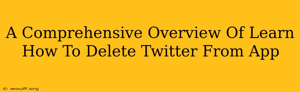 A Comprehensive Overview Of Learn How To Delete Twitter From App