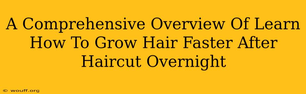 A Comprehensive Overview Of Learn How To Grow Hair Faster After Haircut Overnight