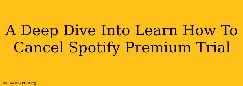 A Deep Dive Into Learn How To Cancel Spotify Premium Trial