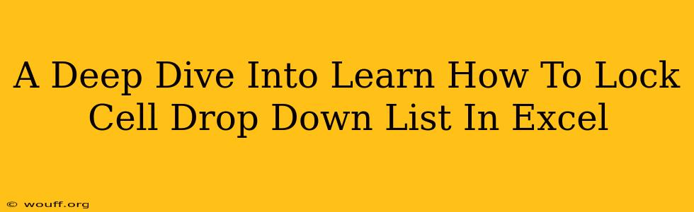 A Deep Dive Into Learn How To Lock Cell Drop Down List In Excel