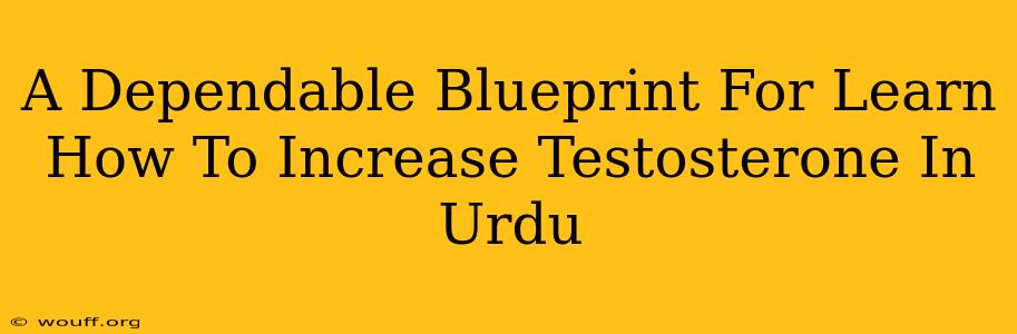 A Dependable Blueprint For Learn How To Increase Testosterone In Urdu