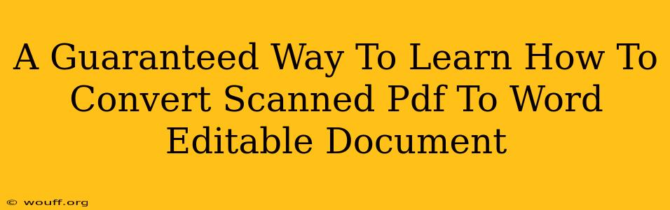 A Guaranteed Way To Learn How To Convert Scanned Pdf To Word Editable Document