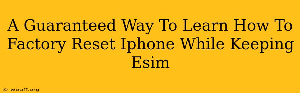 A Guaranteed Way To Learn How To Factory Reset Iphone While Keeping Esim