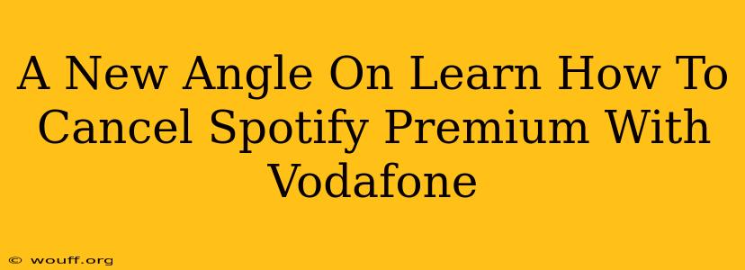 A New Angle On Learn How To Cancel Spotify Premium With Vodafone