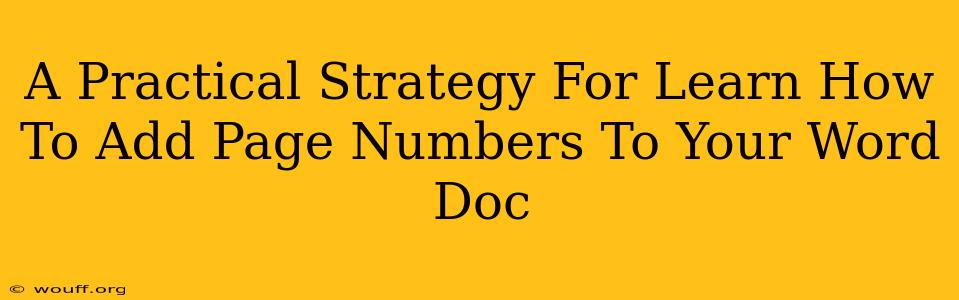 A Practical Strategy For Learn How To Add Page Numbers To Your Word Doc