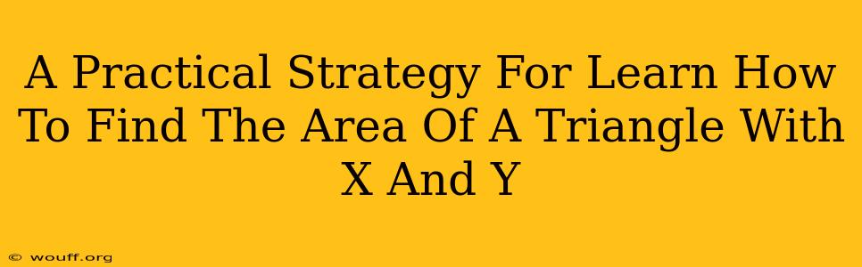 A Practical Strategy For Learn How To Find The Area Of A Triangle With X And Y