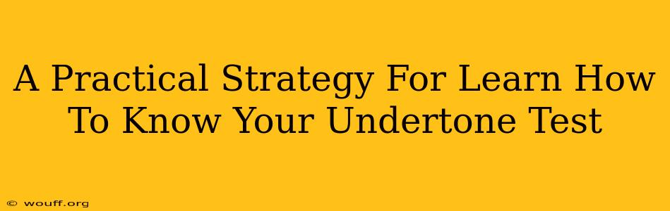 A Practical Strategy For Learn How To Know Your Undertone Test