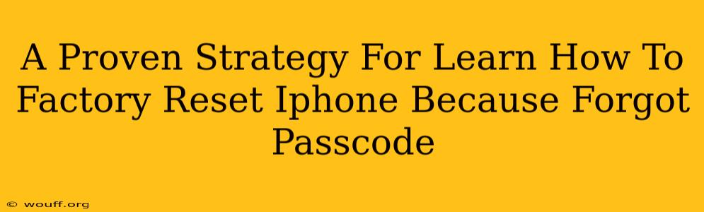 A Proven Strategy For Learn How To Factory Reset Iphone Because Forgot Passcode