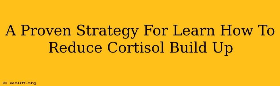 A Proven Strategy For Learn How To Reduce Cortisol Build Up