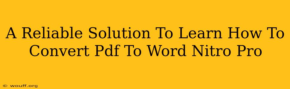 A Reliable Solution To Learn How To Convert Pdf To Word Nitro Pro