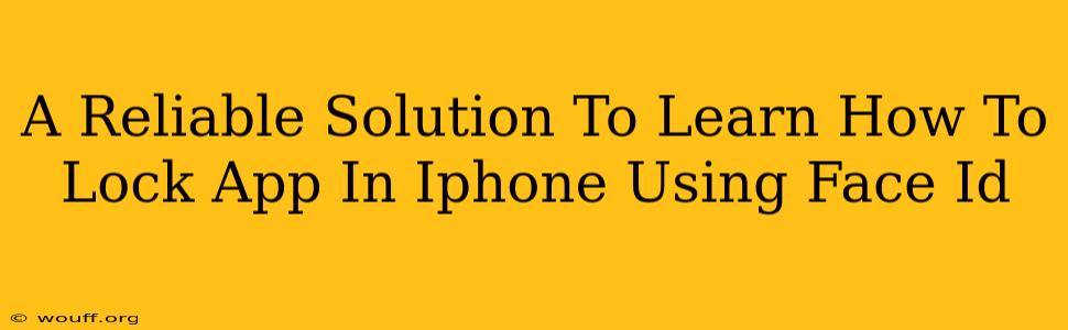 A Reliable Solution To Learn How To Lock App In Iphone Using Face Id