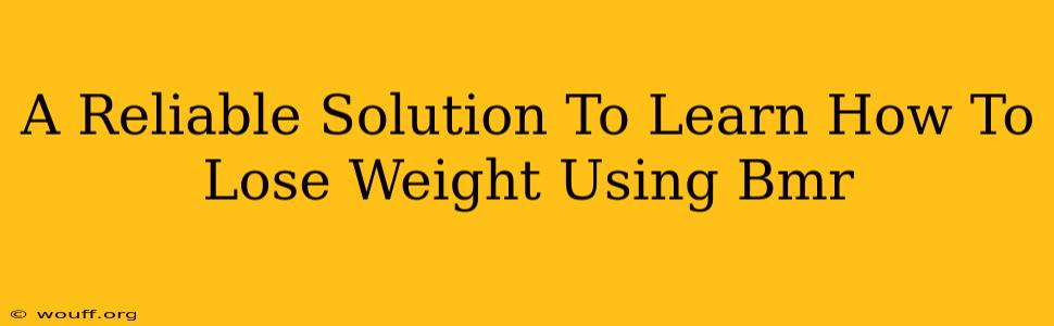 A Reliable Solution To Learn How To Lose Weight Using Bmr