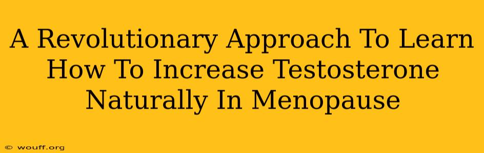 A Revolutionary Approach To Learn How To Increase Testosterone Naturally In Menopause