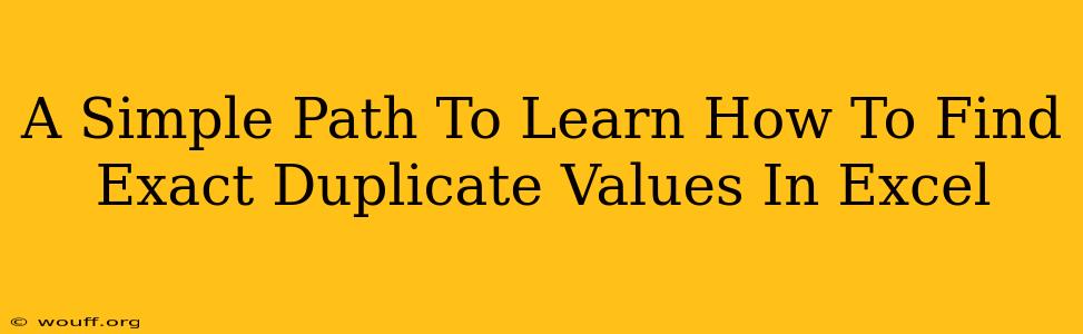 A Simple Path To Learn How To Find Exact Duplicate Values In Excel