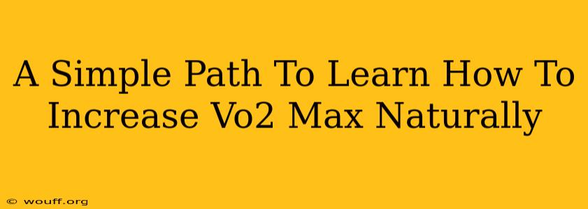 A Simple Path To Learn How To Increase Vo2 Max Naturally