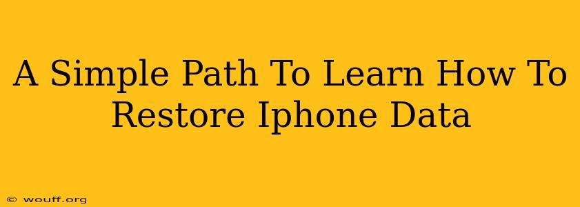 A Simple Path To Learn How To Restore Iphone Data