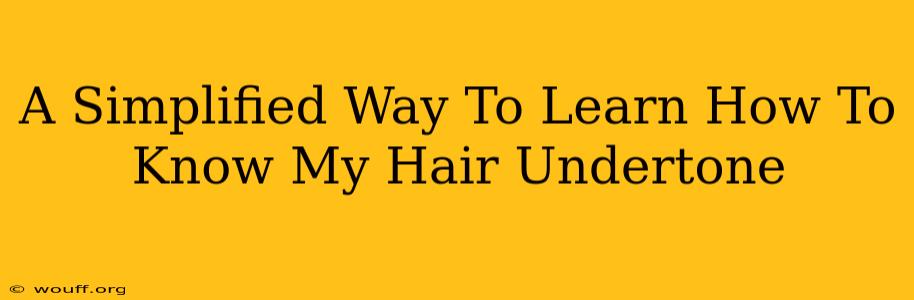 A Simplified Way To Learn How To Know My Hair Undertone