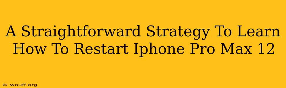 A Straightforward Strategy To Learn How To Restart Iphone Pro Max 12