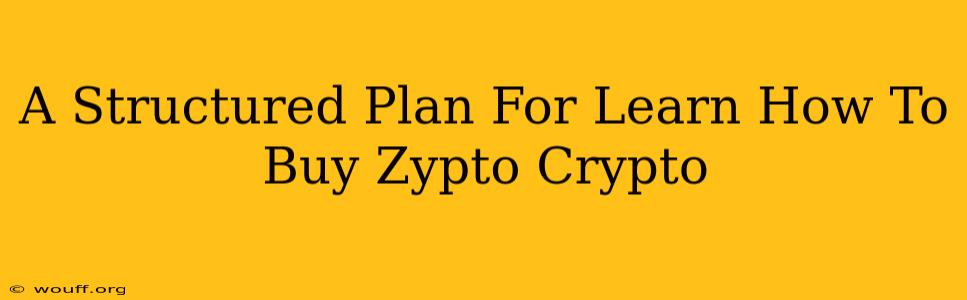 A Structured Plan For Learn How To Buy Zypto Crypto