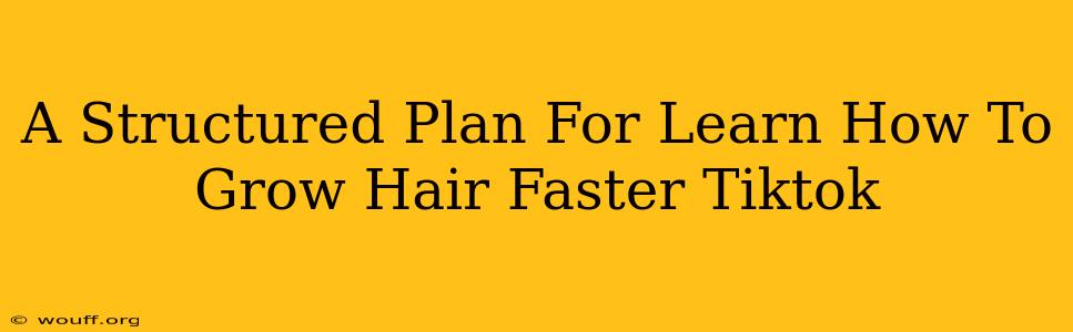 A Structured Plan For Learn How To Grow Hair Faster Tiktok