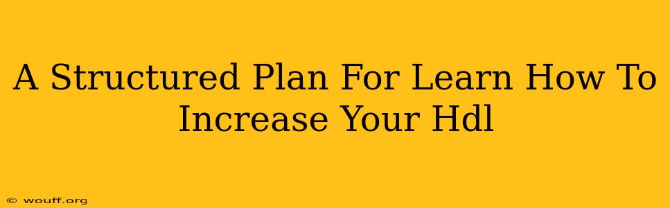 A Structured Plan For Learn How To Increase Your Hdl