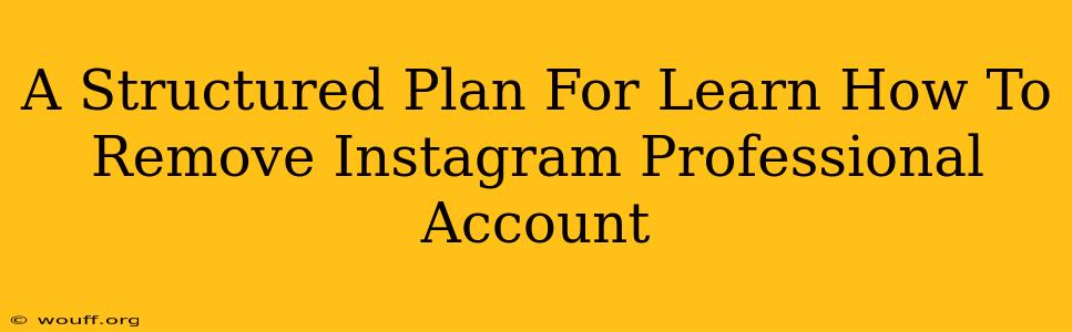 A Structured Plan For Learn How To Remove Instagram Professional Account