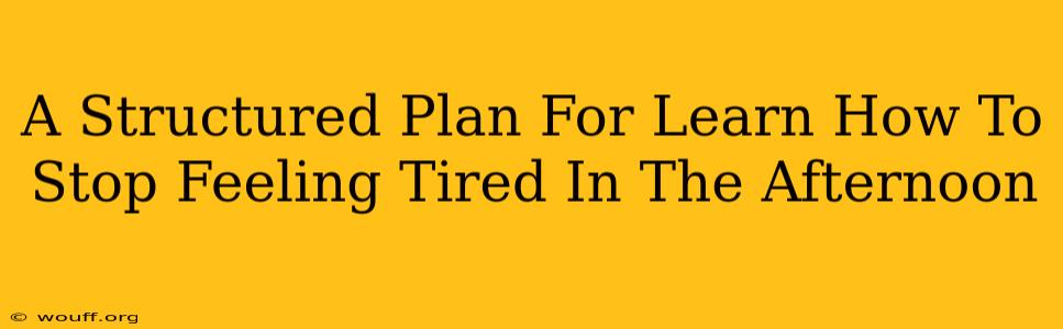 A Structured Plan For Learn How To Stop Feeling Tired In The Afternoon