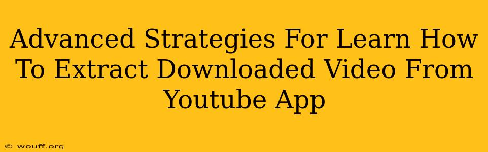 Advanced Strategies For Learn How To Extract Downloaded Video From Youtube App