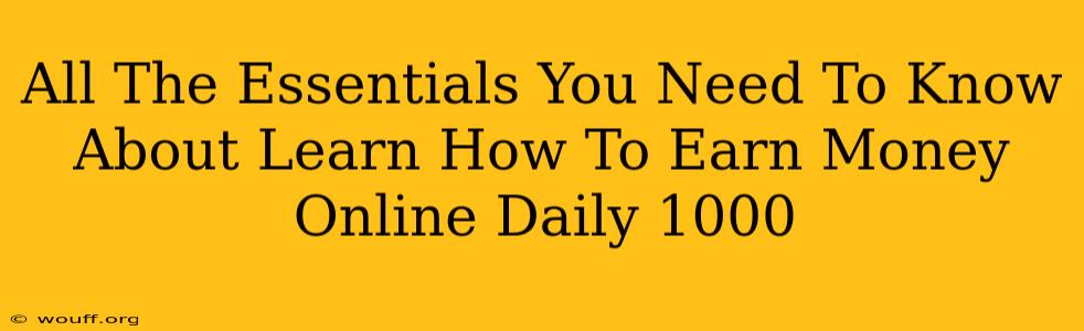 All The Essentials You Need To Know About Learn How To Earn Money Online Daily 1000