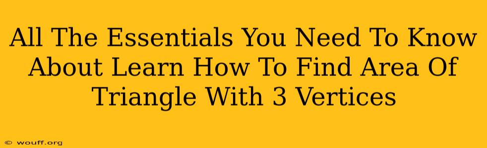 All The Essentials You Need To Know About Learn How To Find Area Of Triangle With 3 Vertices