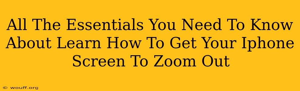 All The Essentials You Need To Know About Learn How To Get Your Iphone Screen To Zoom Out