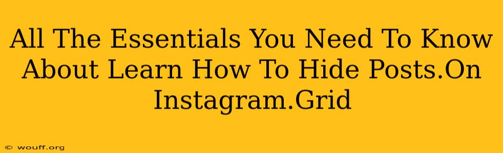 All The Essentials You Need To Know About Learn How To Hide Posts.On Instagram.Grid