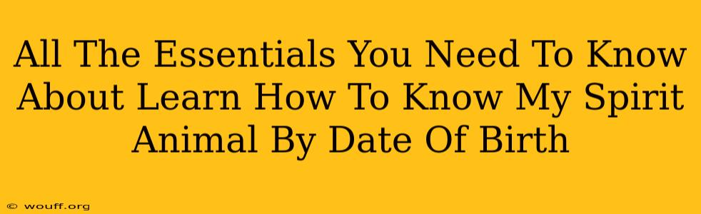 All The Essentials You Need To Know About Learn How To Know My Spirit Animal By Date Of Birth