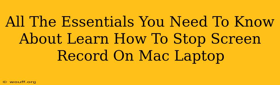 All The Essentials You Need To Know About Learn How To Stop Screen Record On Mac Laptop