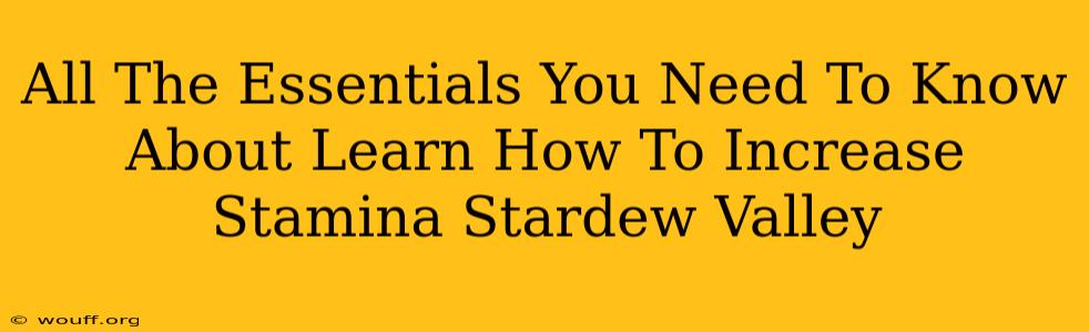 All The Essentials You Need To Know About Learn How To Increase Stamina Stardew Valley