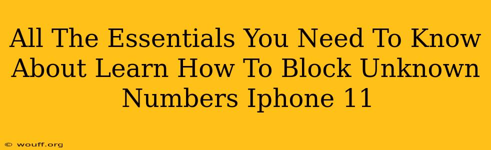 All The Essentials You Need To Know About Learn How To Block Unknown Numbers Iphone 11