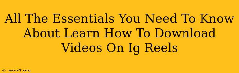 All The Essentials You Need To Know About Learn How To Download Videos On Ig Reels