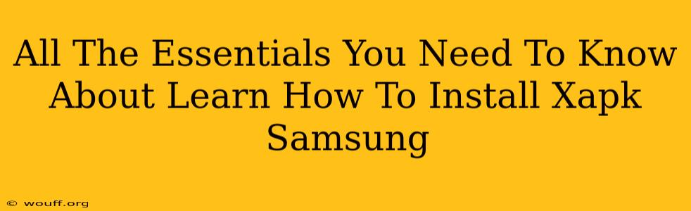 All The Essentials You Need To Know About Learn How To Install Xapk Samsung