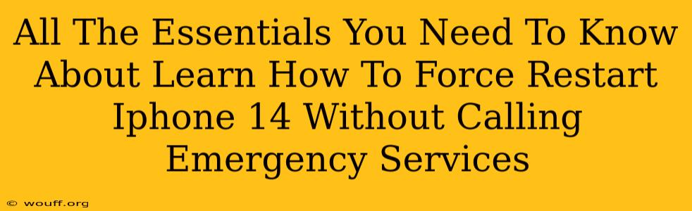 All The Essentials You Need To Know About Learn How To Force Restart Iphone 14 Without Calling Emergency Services